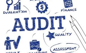 نتیجه جستجوی لغت [audits] در گوگل