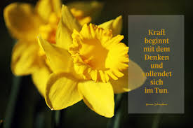 Wer hat sprüche/bibelpherse die mut machen? Lebensweisheiten Kraft Trost Gedanken