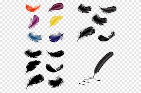 feather quill adobe illustrator feathers and quills animals peacock feather png pngegg quills animals peacock feather png