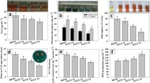 Maybe you would like to learn more about one of these? Mesorhizobium Ciceri As Biological Tool For Improving Physiological Biochemical And Antioxidant State Of Cicer Aritienum L Under Fungicide Stress Scientific Reports