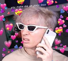 Albert On Twitter Flamingo Photo Flamingo Pictures Funny Flamingo