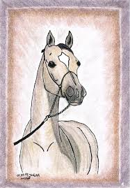 Annonces correspondantes préciser la recherche (276). Dessin La Peinture Cheval Les Arabes Poney Le Sang Total Pikist