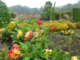 Bickham House Kenn Open Their Beautiful Gardens Grounds Many Times Throughout The Year We Visited In September Beautiful Gardens Plants Beautiful
