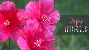 Free Free 165 Paper Flower Hibiscus Svg Free SVG PNG EPS DXF File