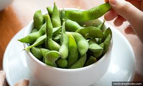 Jabatan perhutanan negeri terengganu, kuala terengganu, malaysia. Malaysiakini Kacang Bulu Lubuk Emas Baru Buat Petani Terengganu