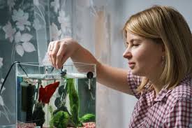 Aquarium dibuat dari pvc dan akrilik yang tentunya kuat, dibuat dengan serapih mungkin dan teliti,barang ini di buat sendiri bukan buatan produsen aquarium. Buat Semua Orang Terkesima Dengan Akuarium Buatanmu Dan Hias Dengan 10 Hiasan Ini