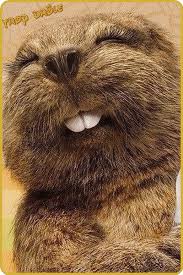 Start studying jour de la marmotte. Un Jour Un Theme Part1 Page 522 Big Farm Forum