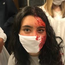 Bridgehurst Asylum for the Sane (2022)