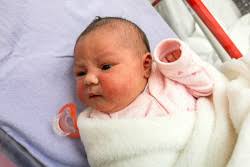 darryl stock photos, images, pictures