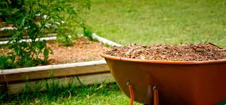 Mulchen Tut Dem Garten Gut Eine Anleitung Servus Magazin Gartenpflanzen Mulchen Garten