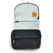 Image result for Rytigynia bagshawei