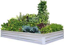 Reading hundreds of customer reviews, obvious expectations are high. Amazon Com Galvanized Raised Garden Beds For Vegetables Large Metal Planter Box Steel Kit Flower Herb 8x4x1ft Kitchen Dining