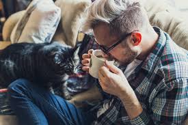 Check spelling or type a new query. What Vaccines Do Indoor Cats Need Nasa Pet Hospital Clear Lake Tx