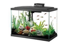 Best Fish Tanks 2020 Heater Light And Accessories Reviews By Wirecutter