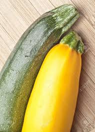 Courgettes) or baby marrow (cucurbita pepo) is a summer squash. Greean Und Golden Yellow Zucchini Squash Auf Einem Holzernen Hintergrund Lizenzfreie Fotos Bilder Und Stock Fotografie Image 10858424