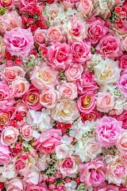 Roses Background For Backdrop Background Wallpaper And Etc Flower Backgrounds Beautiful Flowers Photography Flower Background Iphone