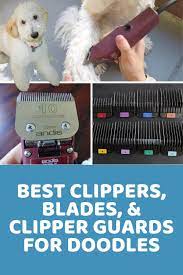 Dog Clipper Guard Size Chart Experiment On My Doodle Doodle Doods Dog Grooming Clippers Goldendoodle Grooming Dog Grooming