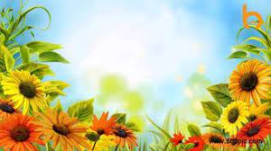 Spring Sunflower Video Background Video Mov Free Download Pikbest Planting Sunflowers Spring Background Planting Flowers