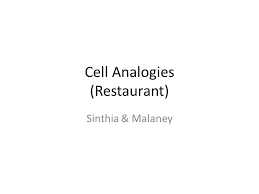 Spongebob cell analogy the krusty krab youtube. Cell Analogies Restaurant Ppt Video Online Download