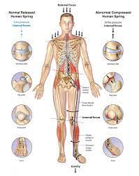 Free Book Thoracic Outlet Syndrome Chapter Iv History Cause And Patient Presentations Team Doctors Blog Athlete For Life