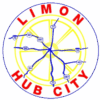 Basics of Medicare (Limon)