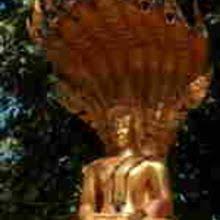 We did not find results for: Joseph S O Leary Homepage