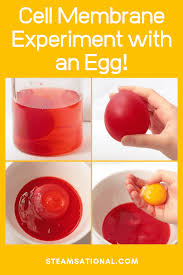 Pin On Science Stuff