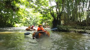 Lalu tempat ini dipanggil selai. Taman Negara Endau Rompin Johor Kawasan Rekreasi Di Dalam Hutan Hujan Tropika Lokasi Percutian