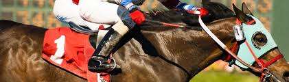 Staybull insurance specializes in florida sr22 insurance and we serve the entire state of florida. American Bankers Insurance Co Of Florida Equine Ins Specialists