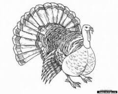 A few boxes of crayons and a variety of coloring and activity pages can help keep kids from getting restless while thanksgiving dinner is cooking. Turkey Coloring Pages To Print Easy Peasy Colorings