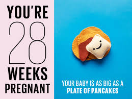 Twin babies free baby stuff baby due date baby pool baby calendar baby online universal baby free baby shower printables baby shower game ideas: 28 Weeks Pregnant Symptoms Tips And More Today S Parent
