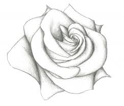 Simple Flower Drawing How To Draw Very Easy Youtube Jpg Cliparting Com Best romantic pencil sketch drawing simple pencil sketch simple. simple flower drawing how to draw very