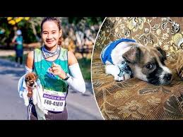 A Sweet Story Marathon Athlete Ran 19 Miles Carrying Puppy She Found Along Route Pet Rescue Report Cute Puppy Videos Puppies Marathon Runners