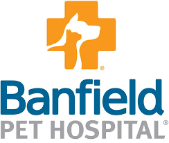 It'll also feature banfield interviewing newsmakers, politicians and celebrities. Banfield Pet Hospital Logo Logodix