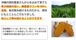 琥金醗酵ウコン サプリメント 沖縄県産の秋 春 紫無農薬ウコン100 使用 生姜粉末入り 沖縄特産品南国市場