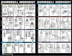 Dumbbell Workouts For Legs Amtworkout Co