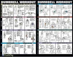 Dumbbell Workouts For Legs Amtworkout Co