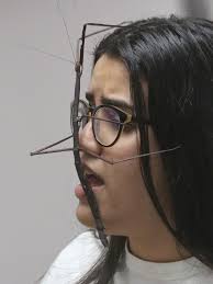 Photos: ISU Insect Zoo visits Norwalk