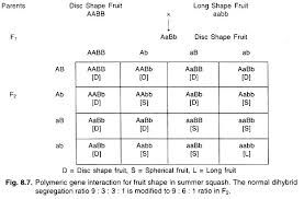 Top 6 Types Of Epistasis Gene Interaction