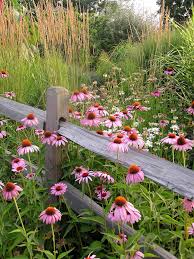 We did not find results for: Plant Wildflowers In Your Garden And Keep Them Tidy And Organized With These Tips Hgtv