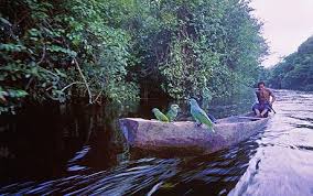 See more of surinam airways (official) on facebook. Guyana Surinam And French Guiana A Guide For Beginners