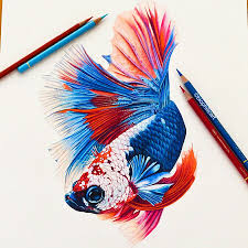 Pin By Shivaa On Biophilicart Pencil Colour Art With Images Color Pencil Art Betta Fish Tattoo Colorful Art
