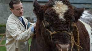 I ended up leaving farm practice, disheartened by the trend away from smallholdings towards large scale production, ending up attending to pets as my full time job. Review All Creatures Great And Small Is Pbs Newest Comfort Tv Npr