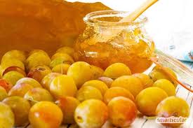 Mirabellen Verwerten Die Besten Rezepte Fur Kuchen Marmelade Co Mirabellen Rezepte Mirabellen Mirabellen Marmelade