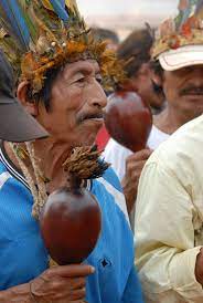 Maybe you would like to learn more about one of these? Guaranies Wikipedia La Enciclopedia Libre