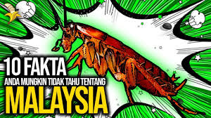 Tidak hanya itu, desain laptop ini juga tidak kalah menarik dan sudah mendapat penghargaan red dot product design 2020. 10 Fakta Menarik Yang Anda Mungkin Tidak Tahu Tentang Malaysia Youtube