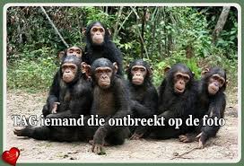 Apen Grappig Grappige Plaatjes Grappige Foto S Grappig
