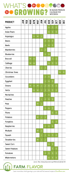 Whats In Season Wisconsin Produce Calendar Infographic