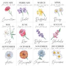 Personalised Birth Flower 10cl Bottle Of Granite North Gin In 2020 Geburt Blumen Dezember Blume September Geburtsblume
