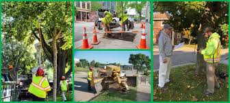 The industry's first safety certification program, credentialing individual arborists for safety practices and knowledge. Forestry Streets Recycling City Of Madison Wisconsin